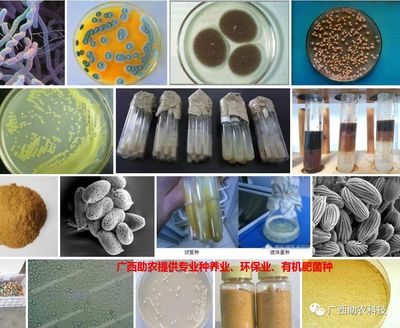 南寧微瑞生物科技 聚焦前沿科技，驅動健康未來