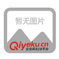 廈門花卉租賃與景觀設計 打造綠意生活的新風尚
