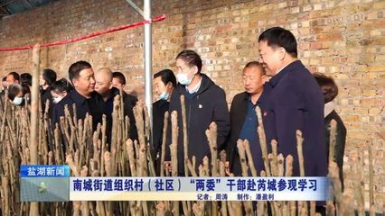 南城街道組織村（社區）“兩委”干部赴芮城參觀學習苗木租賃經驗
